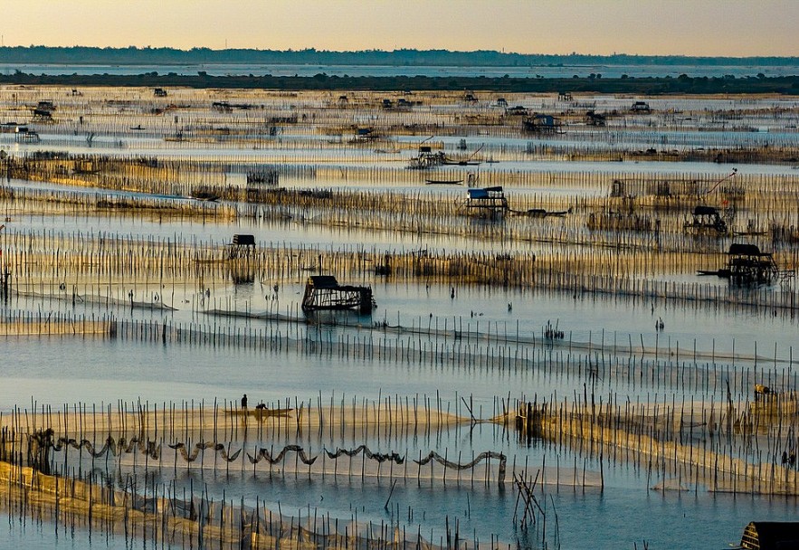 Chuon lagoon is a brackish water lagoon with an area of ​​​​about 100 hectares - Photo: NGO HUY HOA
