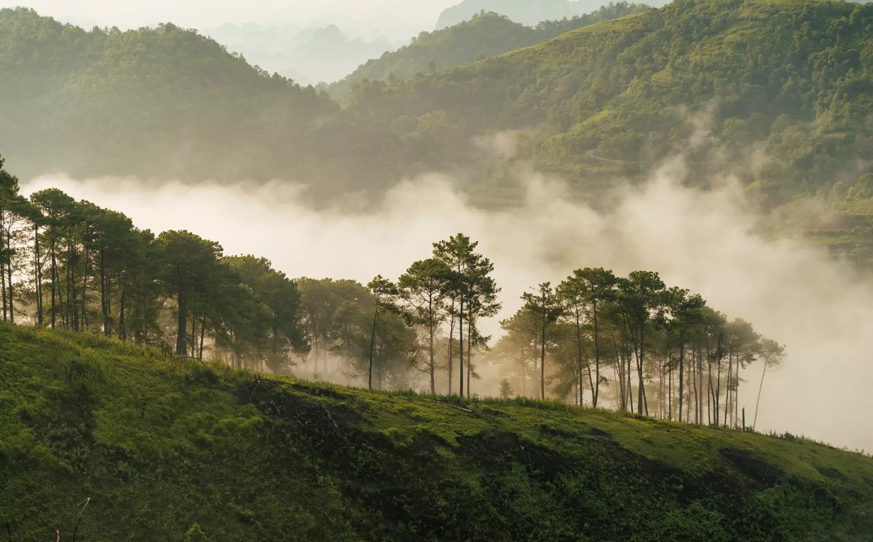 6 Beautiful Green Camping Spots in Cao Bang