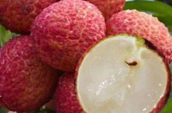 Seedless Fruits: A New Made-In-Vietnam Speciality