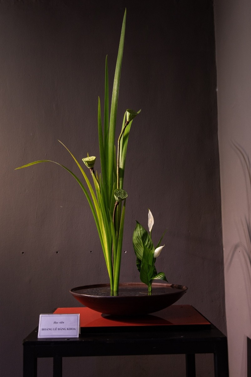 Ikebana Exhibition to Spread the Beauty of Japanese Flower Arrangement Ikebana Exhibition to Spread the Beauty of Japanese Flower Arrangement