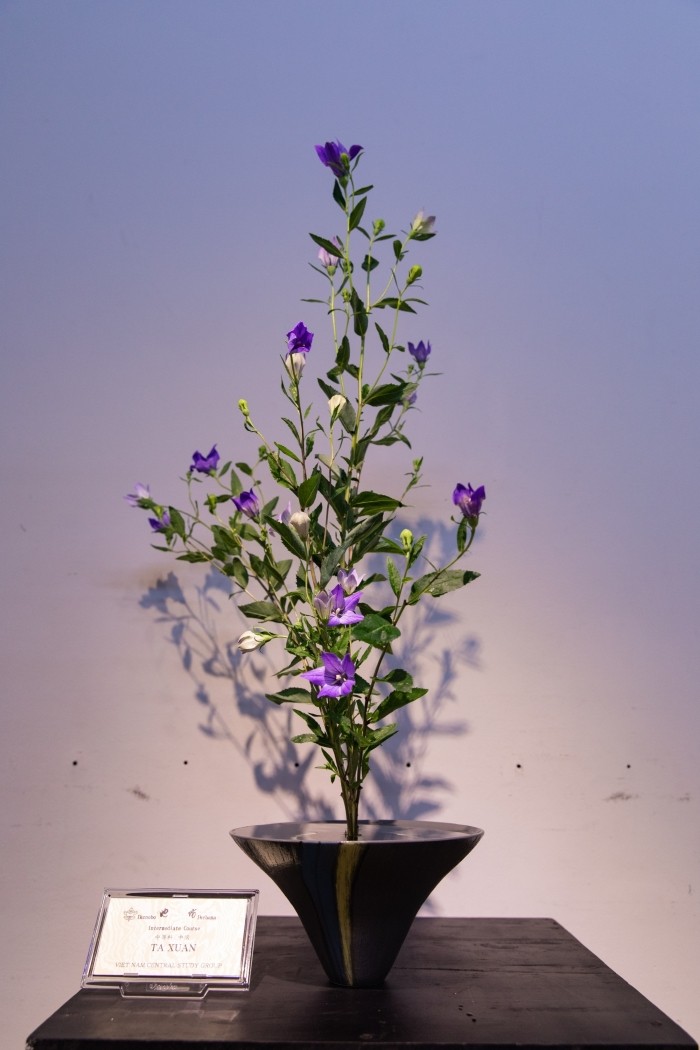 Ikebana Exhibition to Spread the Beauty of Japanese Flower Arrangement Ikebana Exhibition to Spread the Beauty of Japanese Flower Arrangement