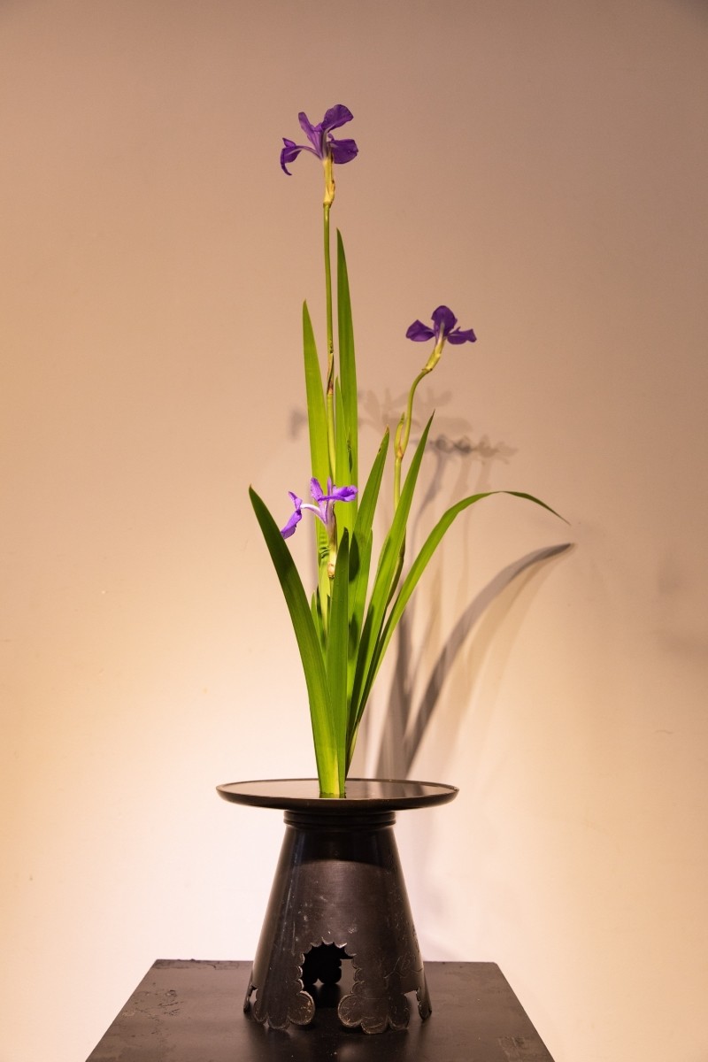 Ikebana Exhibition to Spread the Beauty of Japanese Flower Arrangement Ikebana Exhibition to Spread the Beauty of Japanese Flower Arrangement