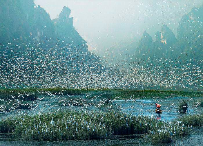 Vietnamese Photographers to Win Many Prizes at International Contests