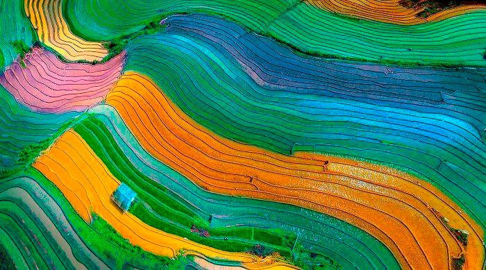 Vietnamese Photographers to Win Many Prizes at International Contests