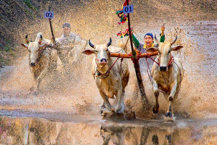 Vietnamese Photographers to Win Many Prizes at International Contests
