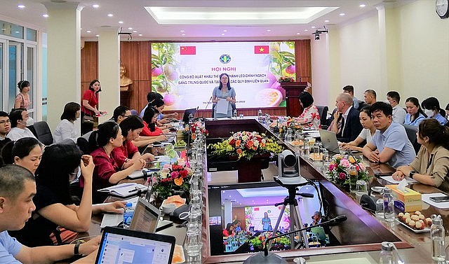 Vietnamese Passionfruit to Enter China via Official Channel