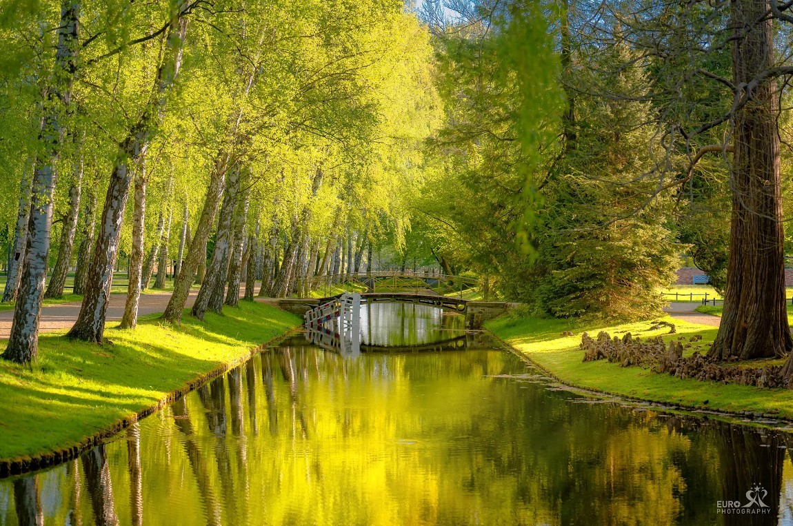 Enchanting Schwerin Castle through the Lens of a Vietnamese Photographer
