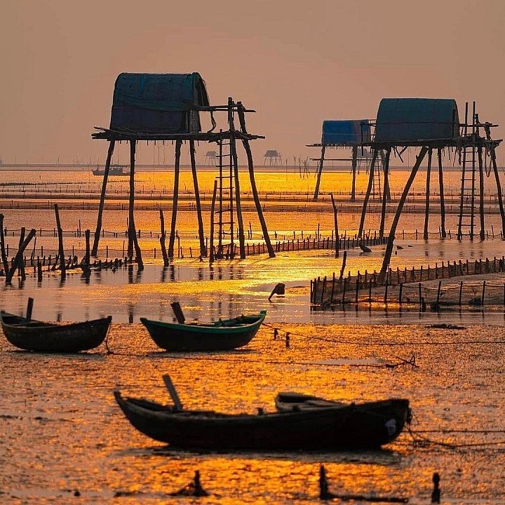 The Unspoiled Beauty of Thai Binh's Illustrious Beaches