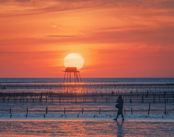 The Unspoiled Beauty of Thai Binh's Illustrious Beaches
