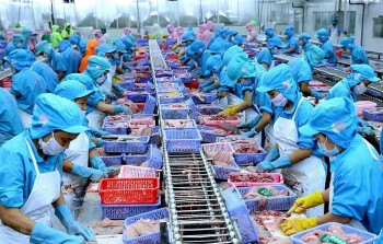 Vietnam Business & Weather Briefing (July 11): Reference Exchange Rate Down VND 7