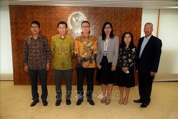Vietnam, Indonesia Eye to Beef Up Relations