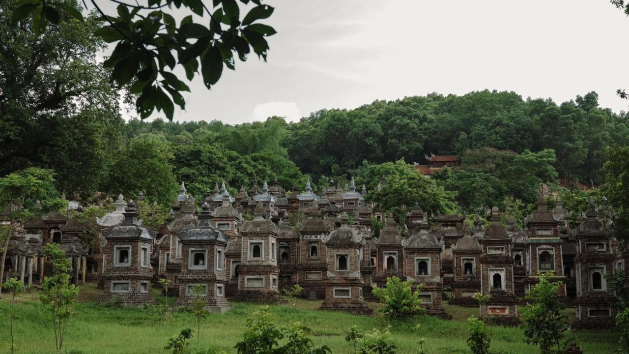 Photo: Check in Vietnam