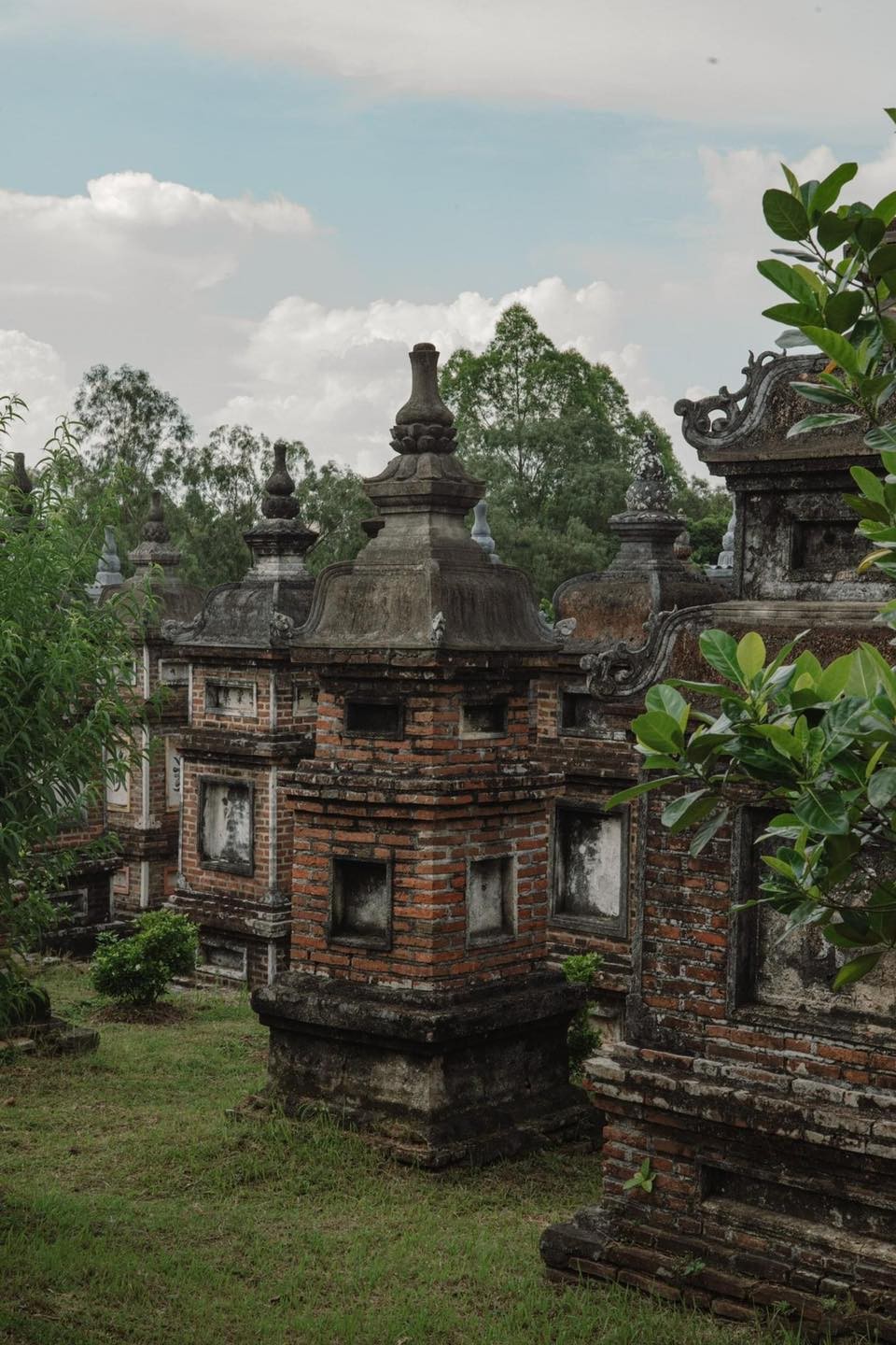Photo: Check in Vietnam