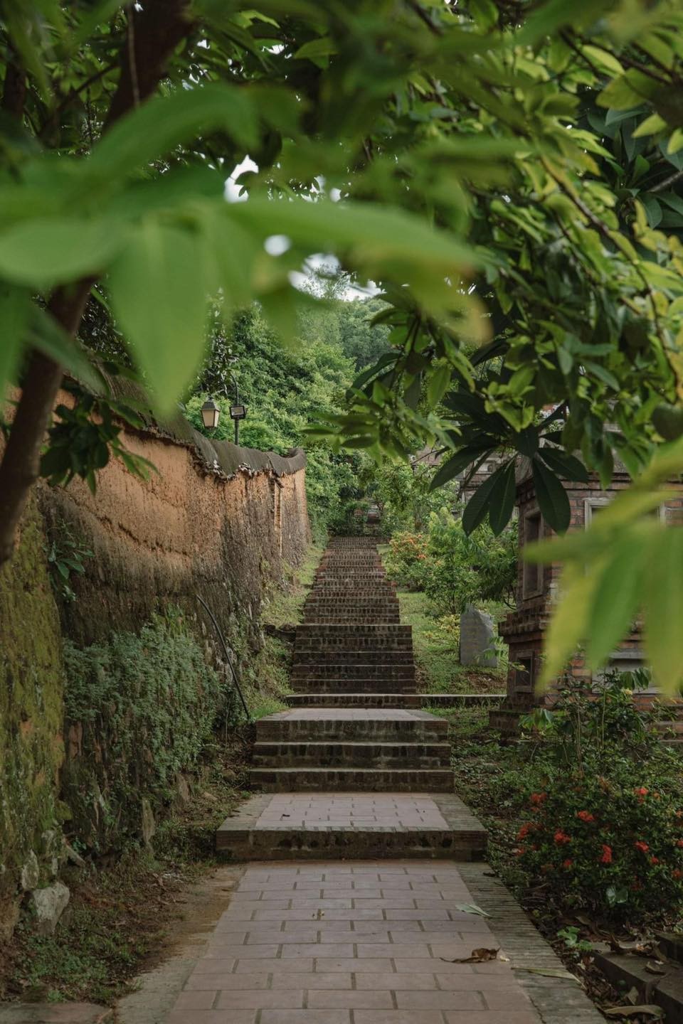 Photo: Check in Vietnam