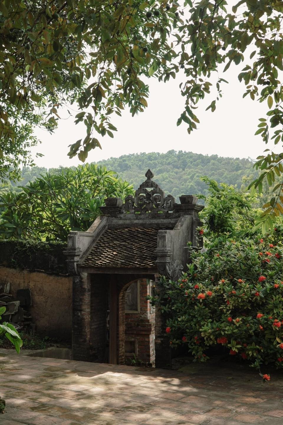 Photo: Check in Vietnam