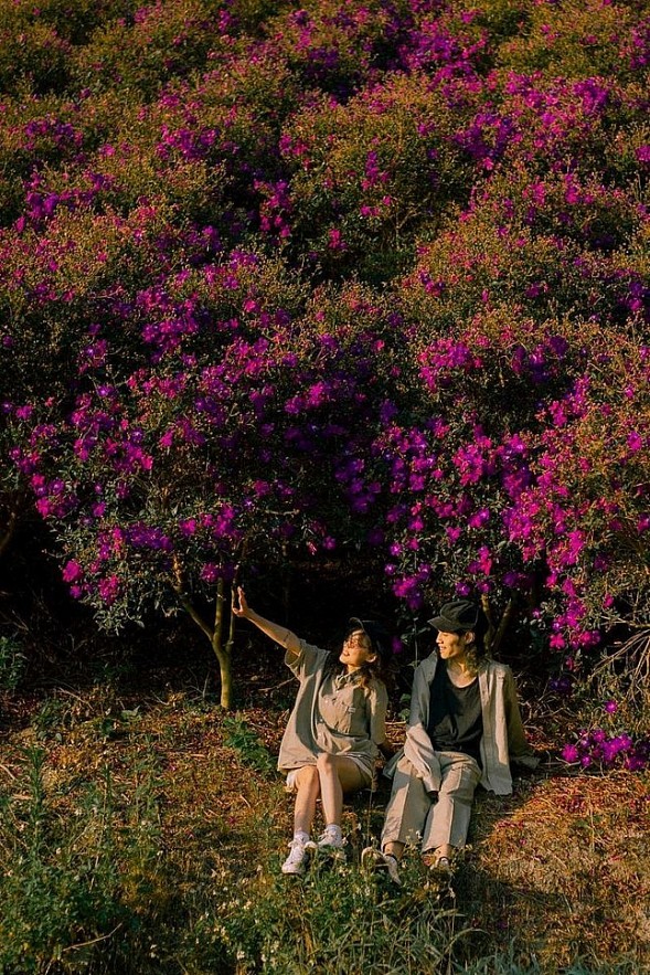 A romantic corner. Photo: Martial Arts