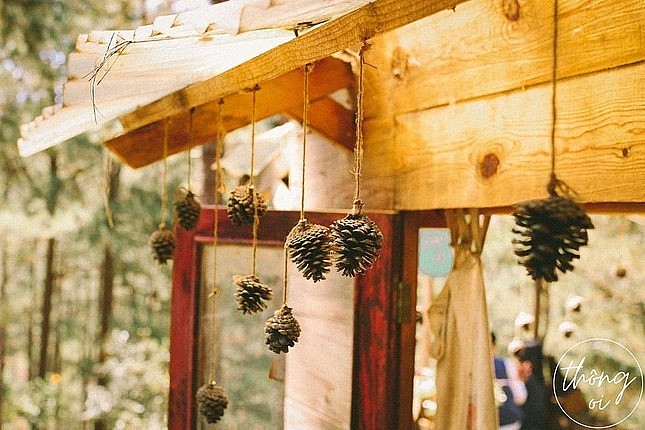 The restaurant is located in the middle of the vast pine forest. Photo: Thong Oi