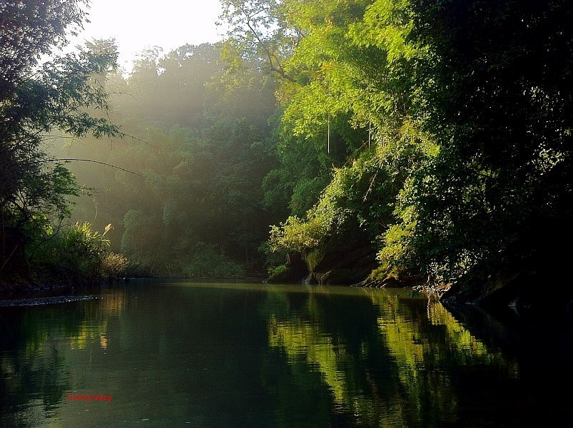 Historical Values ​​​​and Nature Conservation at Bu Gia Map National Park