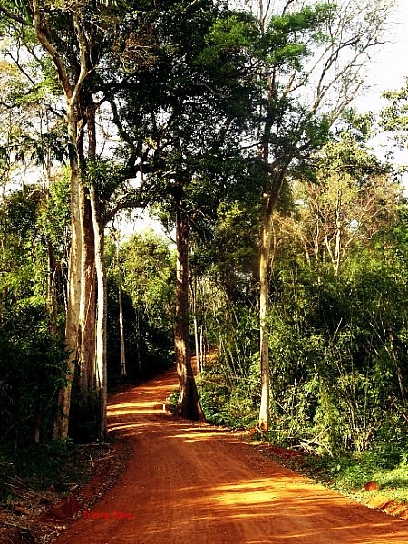 Historical Values ​​​​and Nature Conservation at Bu Gia Map National Park