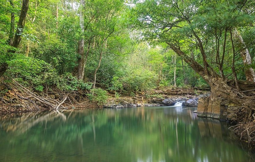 Historical Values ​​​​and Nature Conservation at Bu Gia Map National Park