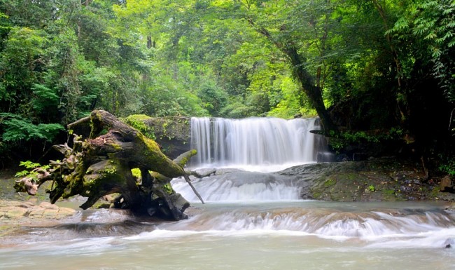 Historical Values and Nature Conservation at Bu Gia Map National Park