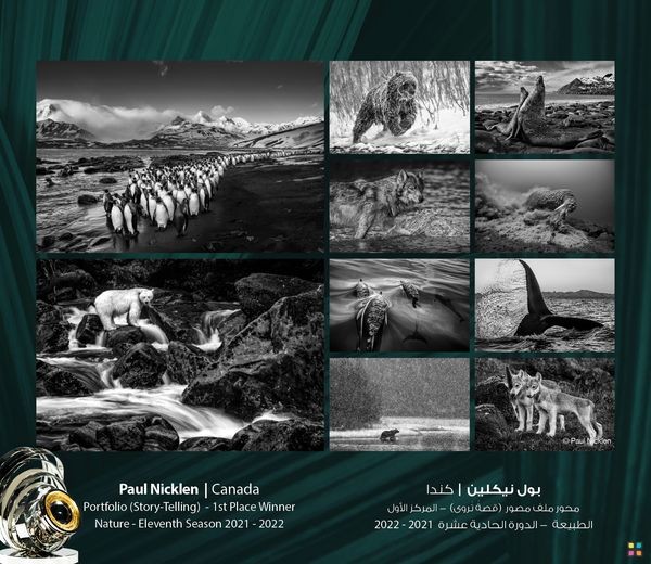 Vietnamese Photographer Wins First Prize at UAE-based Global Award