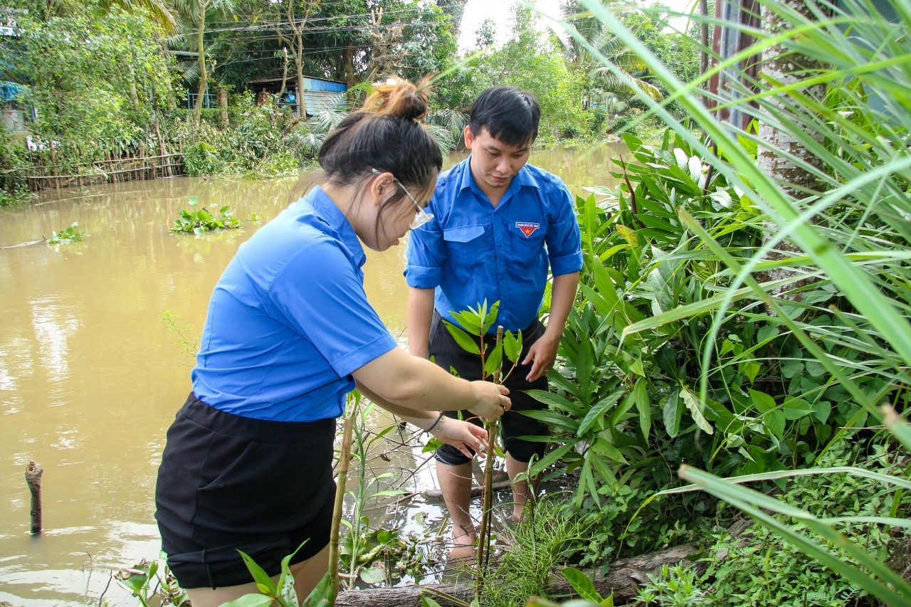 Can Tho Friendship Union Plants Trees to Prevent Landslides