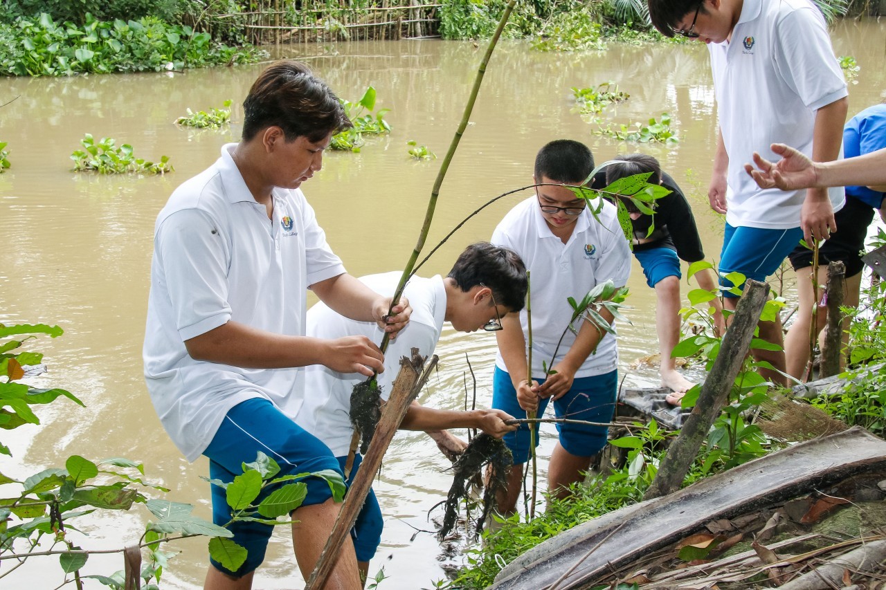 Can Tho Friendship Union Plants Trees to Prevent Landslides