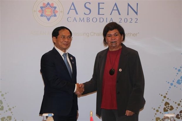 Vietnamese Foreign Minister Meets Foreign Officials on AMM-55 Sidelines