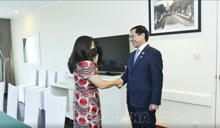 Vietnamese Foreign Minister Meets Officials on AMM-55 Sidelines