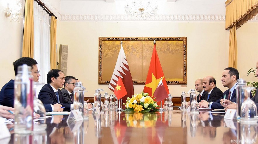 Vietnam Seeks Qatari ODA in Infrastructure, Agriculture