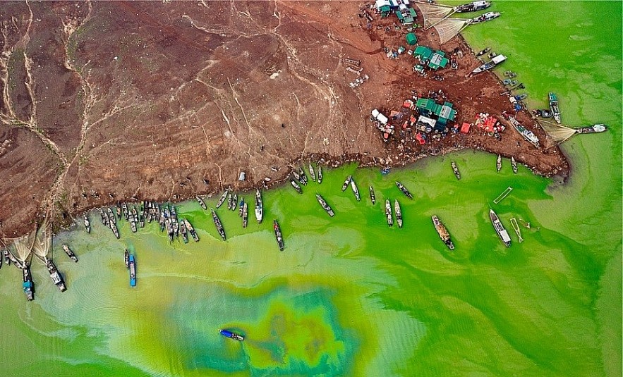 Jump into Green Algae Season at Tri An Lake