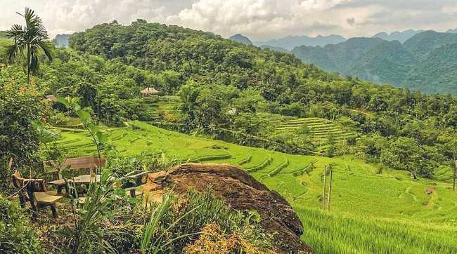 Pu Luong: An Enticing Natural Tourist Destination