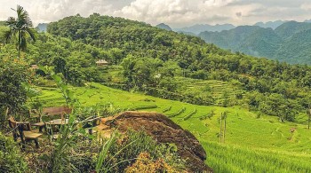 Pu Luong: An Enticing Natural Tourist Destination