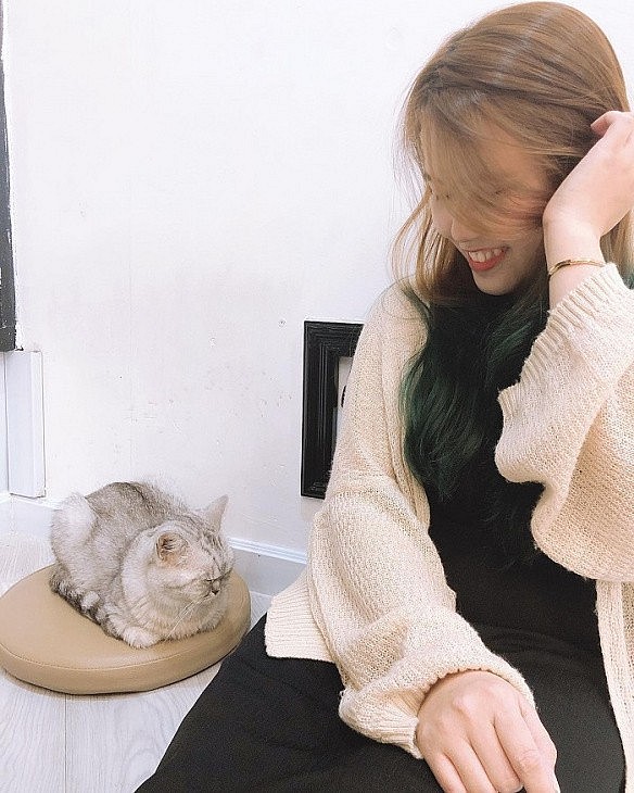 Seven Cutest Pet Cafés in Vietnam