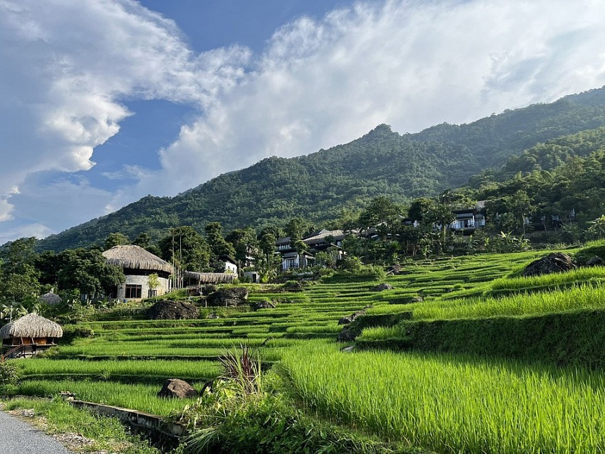 Pu Luong terraced fields in August days. Photo: Tuoi Tre