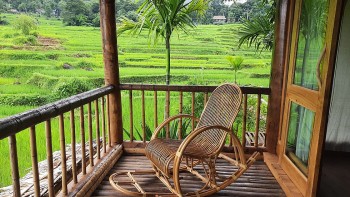 Embrace the Green Scenery of Pu Luong
