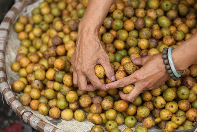 The Delicate Tastes of a Hanoi During Autumn