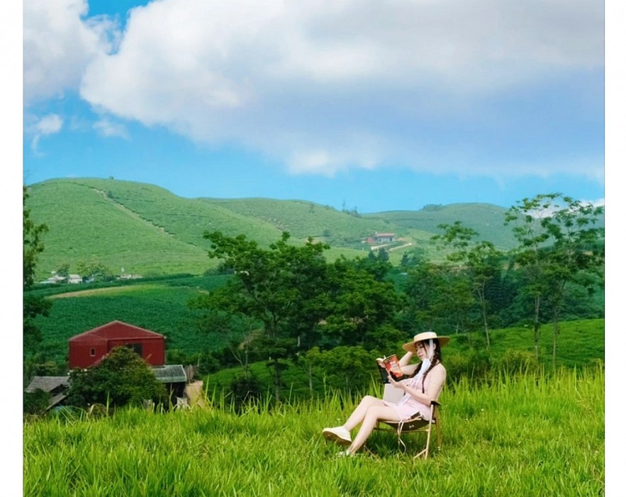 Stunning Grassland Like Windows Wallpaper In Son La