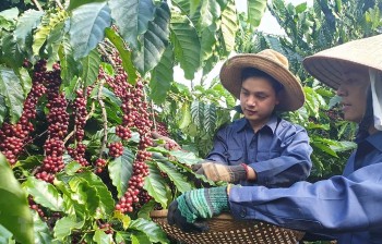 Vietnam Business & Weather Briefing (Sep 17): Banks race to increase charter capital