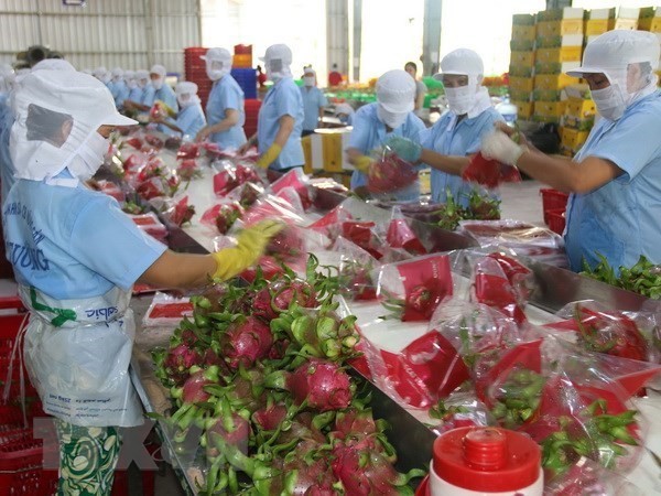 Vietnam - Denmark Cooperation in Production, Certification and Management of Organic Products