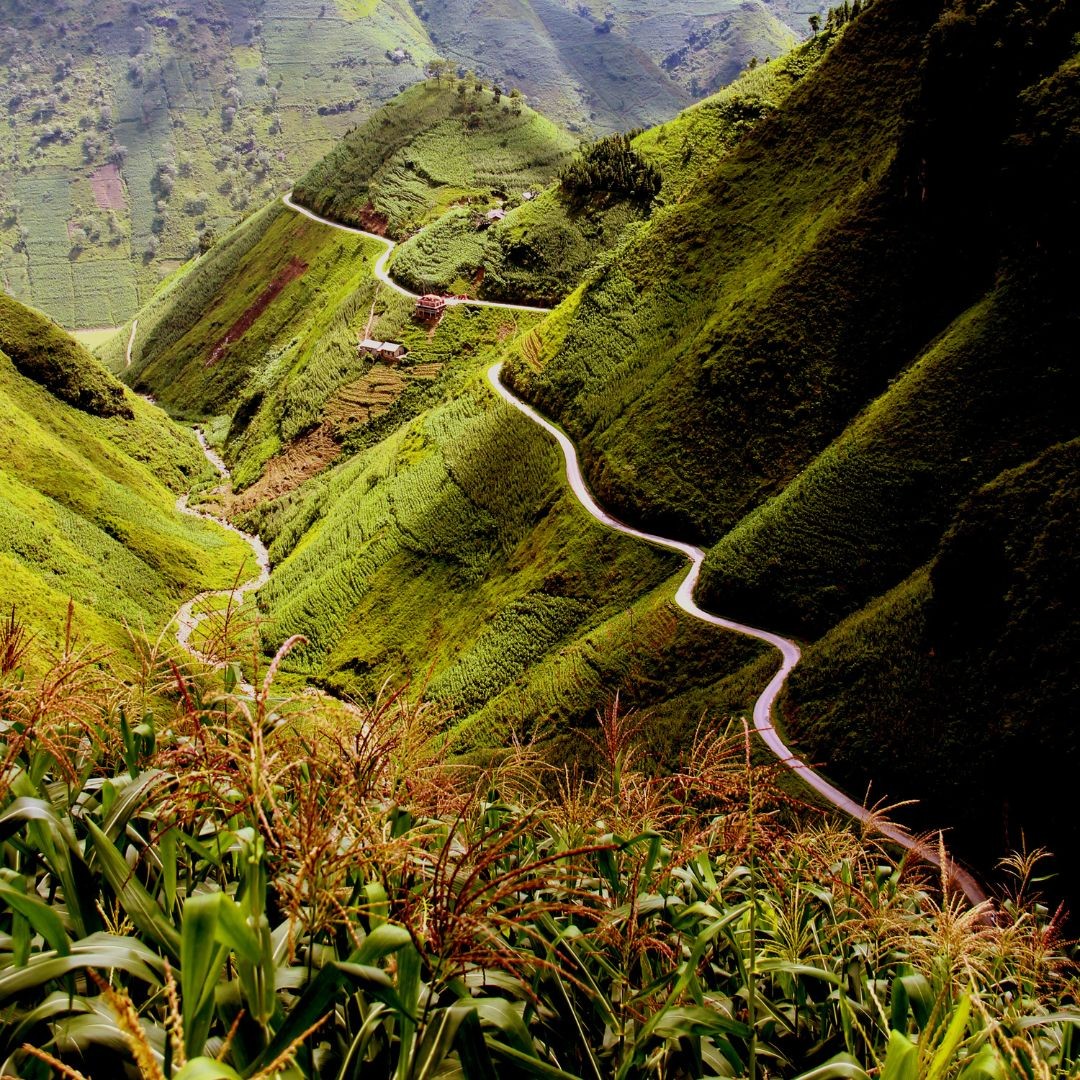 Expat Spotlight: Denis Bissonette - A 20-Year Pillar of Vietnam's Flourishing Tourism Industry