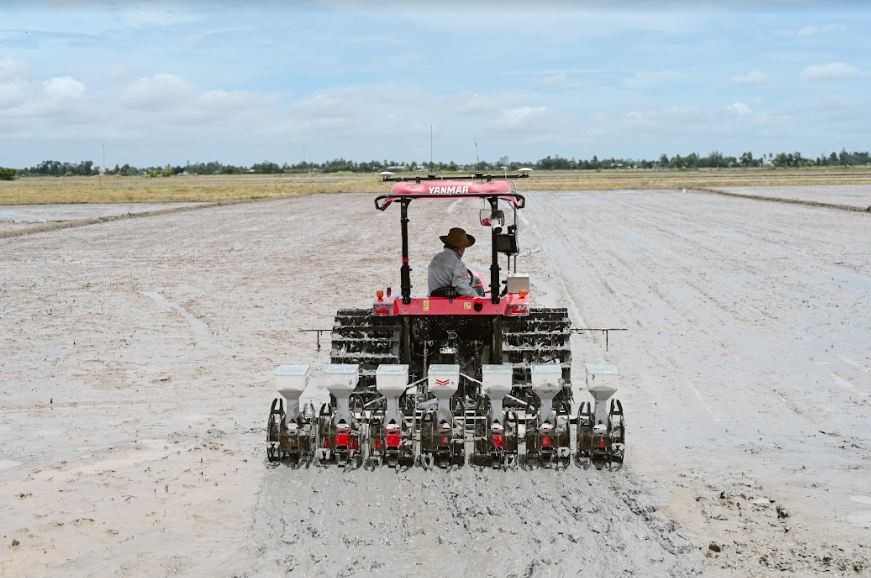 Sustainable Rice Project Improves Incomes of 10.000 Smallholder Farmers