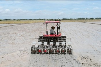 Sustainable Rice Project Improves Incomes of 10.000 Smallholder Farmers