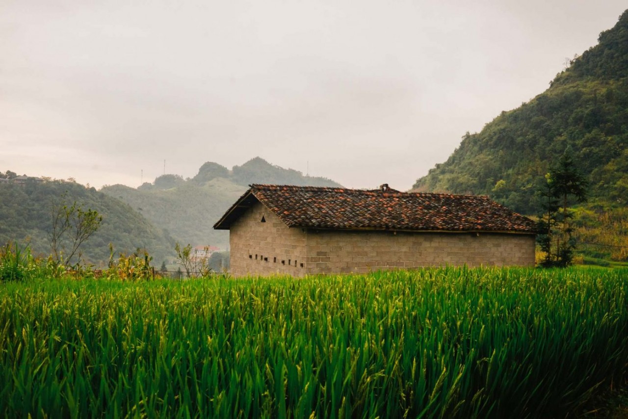 Photo: Thu Huong