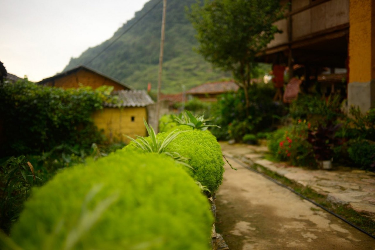 Photo: Thu Huong