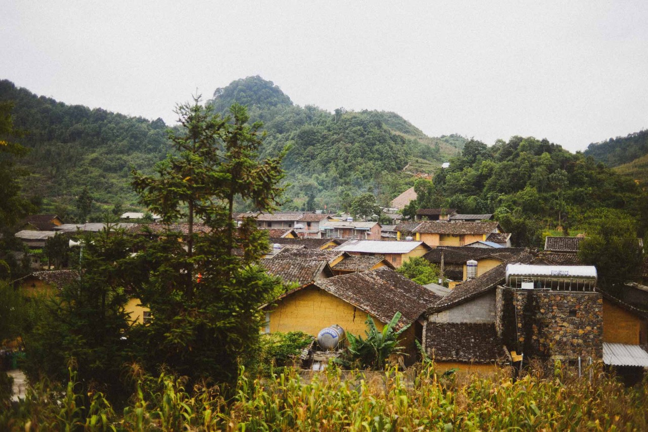 Photo: Thu Huong 