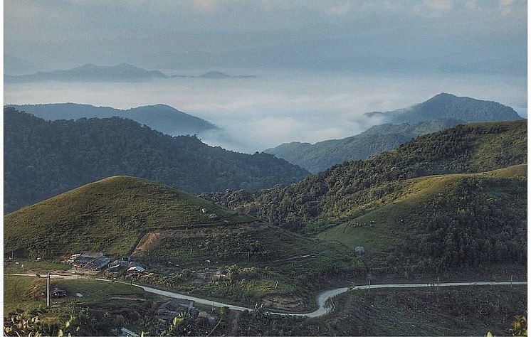 Top 3 Gorgeous Grasslands in Vietnam