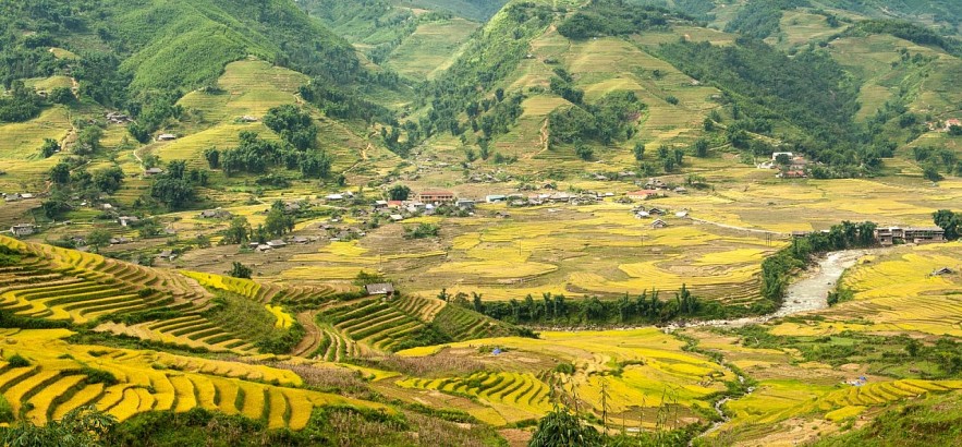 The Charismatic Aspects of Sapa