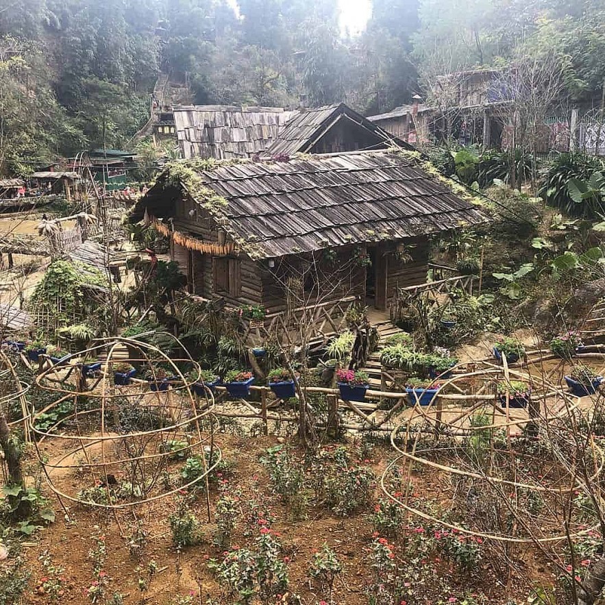 The Charismatic Aspects of Sapa